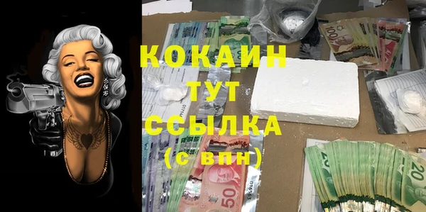 МДПВ Абаза