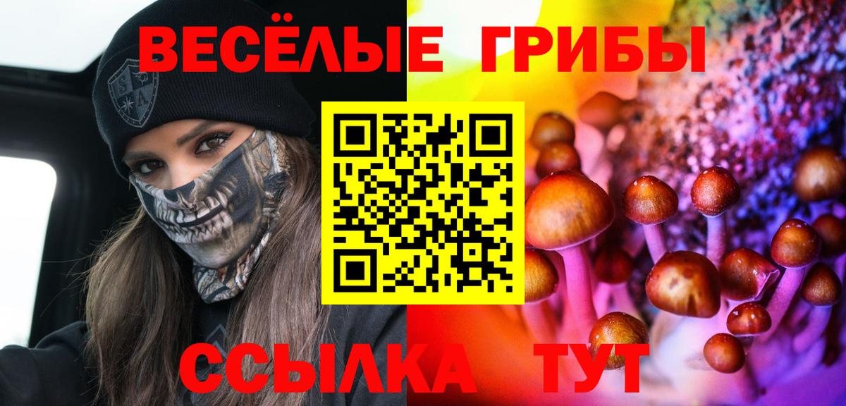 Галлюциногенные грибы MAGIC MUSHROOMS  Вход с VPN  Холмск 