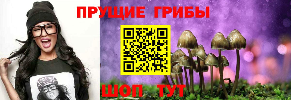 Галлюциногенные грибы прущие грибы Холмск